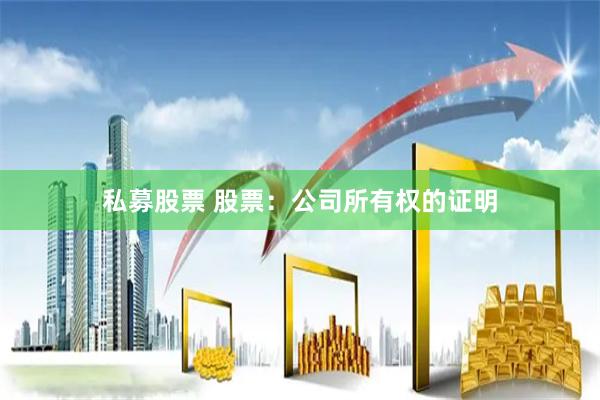 私募股票 股票：公司所有权的证明