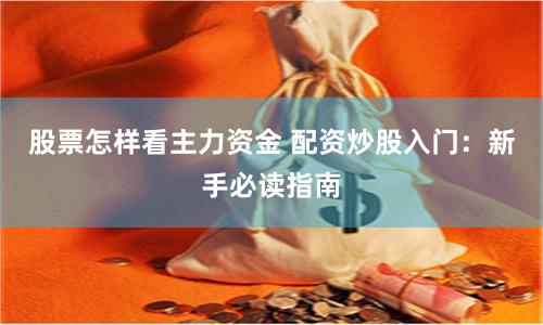 股票怎样看主力资金 配资炒股入门：新手必读指南